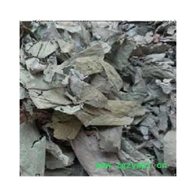 布渣叶 选个 产地 广西壮族自治区