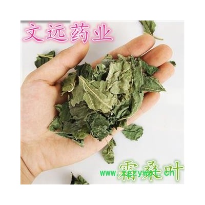 桑叶 霜桑叶 选片  产地 河南省