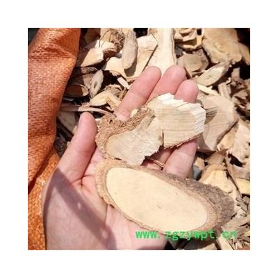 广西壮乡中草药 野生 七叶莲 多蕊木 龙爪树 产地 广西柳州