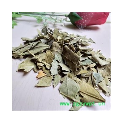 橘叶 橘子叶 金橘叶 橘树叶 统货 产地 浙江省