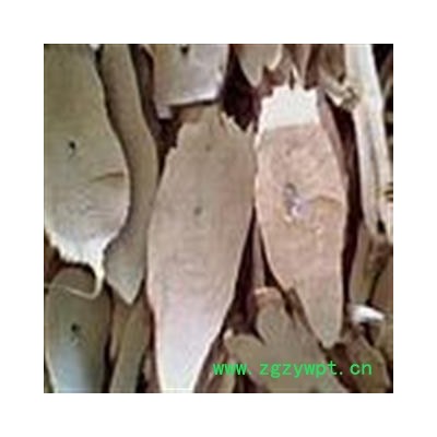 紫苏根 野紫苏 统 产地 河北省 批发经营各种冷背中草药个子