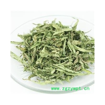 甜叶菊 各种规格 产地 安徽省 凯捷中药