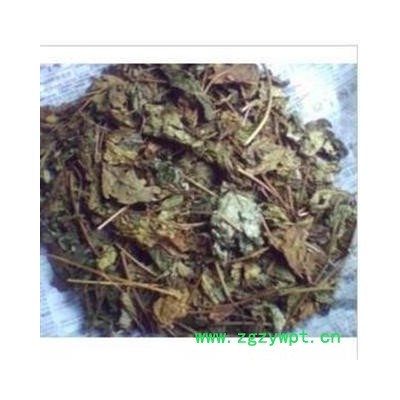 臭梧桐叶 八角梧桐 山梧桐 臭桐柴 统 产地 山西省 批发各种冷背中草药个子