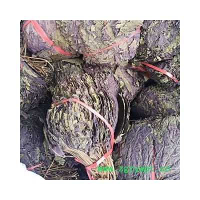 紫苏叶 苏叶  苏梗 紫苏叶全叶选货 产地 江苏省