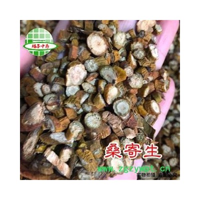 桑寄生 桑寄生选货 槲寄生  产地 黑龙江省 买好药找娟子