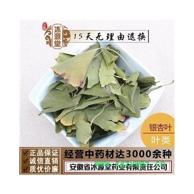 银杏叶 白果叶 银杏 青统 产地 江苏省