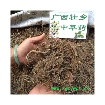 广西壮乡中草药 野生 全根水洗晒干 艾根 艾头 艾草根 产地柳州