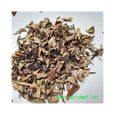 石韦 石苇 四川小叶石韦 正品石韦 产地 四川省