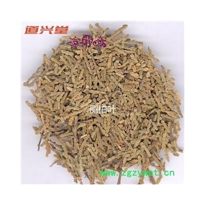 侧柏叶 柏树叶 侧柏叶统货 产地 河北省 批发各种冷背中草药个子