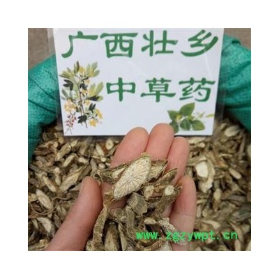 广西壮乡中草药 野生 宽筋藤 松筋藤 伸筋藤 软筋藤 青筋藤 产地 广西柳州