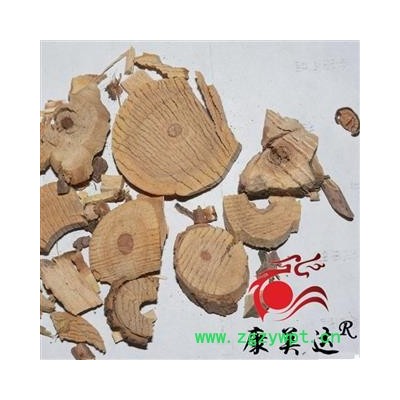 接骨木 统货 产地 湖北省 凯捷中药