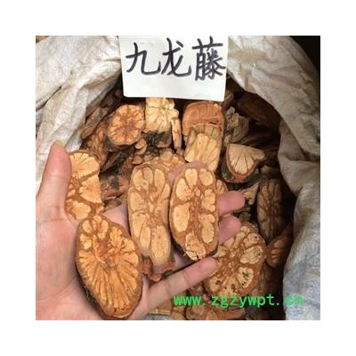 广西壮乡中草药 野生 九龙藤 龙须藤 产地 广西柳州