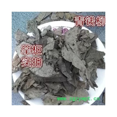 圣草康园青钱柳 青钱李 青钱柳叶 甜树茶 青钱柳选货