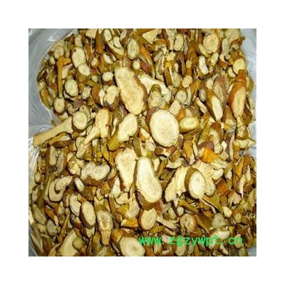 桑寄生 统 产地 内蒙古自治区