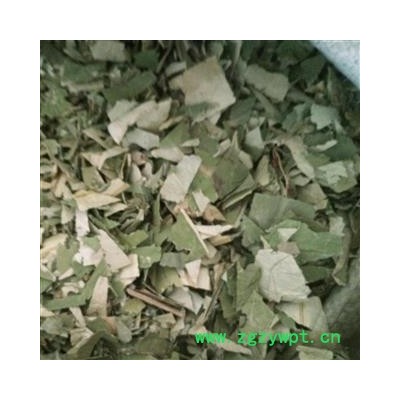 荷叶 茶用荷叶 16筛子以下 碎荷叶 无杂质无粉沫 产地 山东省