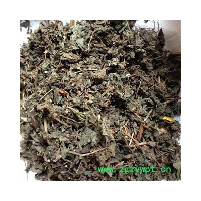 紫苏叶 紫苏叶全叶选货 产地 河南省 批发各种冷背中草药个子