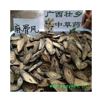 广西壮乡中草药 野生 麻骨风 买麻藤 买子藤 驳骨藤 大节藤 产地 广西柳州
