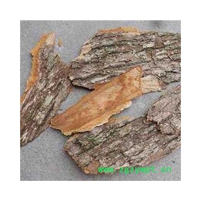 樟树皮 樟木皮 统货 产地 四川省