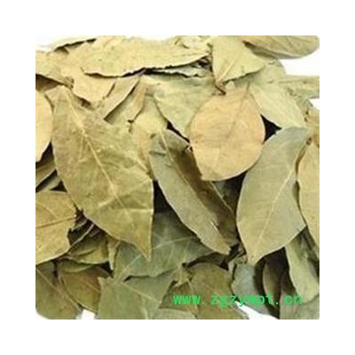 香叶 统货 产地 海外