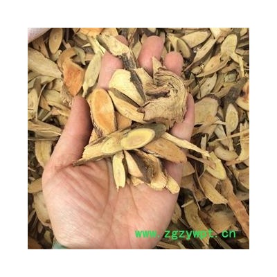 广西壮乡中草药 野生 铁包金 乌金藤 产地 广西柳州