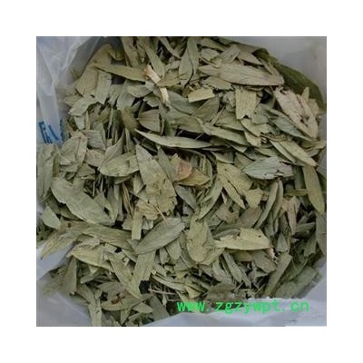 番泻叶 统 产地 安徽省