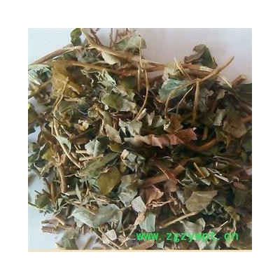 圣草康园蝴蝶草 肺形草 铁交杯 双飞蝴蝶 肺形草，大肺形草 飞行草 肺型草