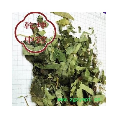 淫羊藿 心叶淫羊藿 产地 甘肃省【品种齐全 诚信经营】