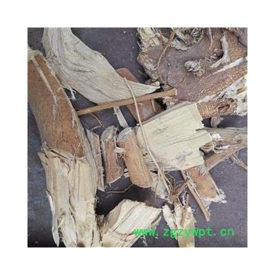 吉康药业悬钩子根 牛迭肚实物拍照  重在品质 量大从优