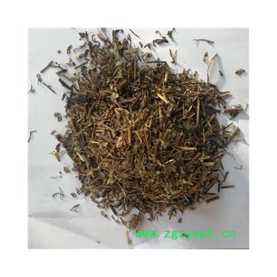 圣草康园 一叶萩 一叶秋 小粒蒿 横子 粉条 老鼠牙 马扫帚牙 小孩拳