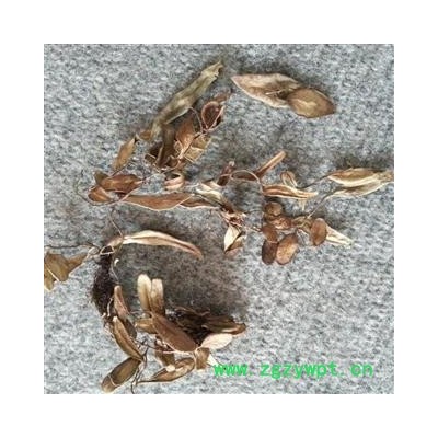 圣草康园 中药材  风不动  霹雳