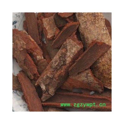 圣草康园  中药材 追地风 钻地风 地枫  地风皮 追地枫皮