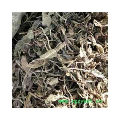 大青叶 大青叶统段 产地 山东省