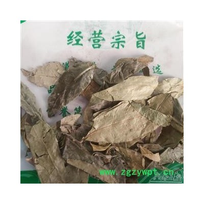 新辉药业野生山香圆叶 两指剑 千打锤 七寸钉