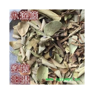 圣草康园木莲藤 霹雳藤  木馒头藤