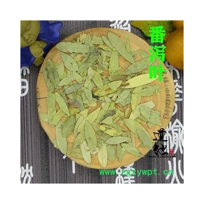 番泻叶 统 产地 广西壮族自治区