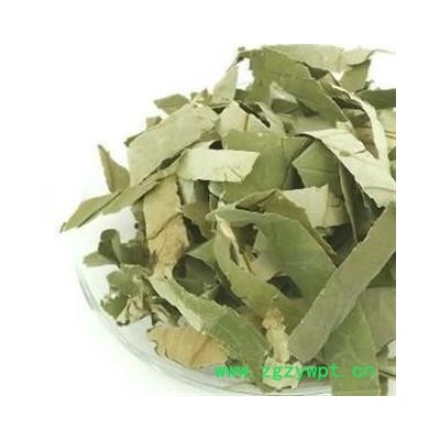 荷叶 精品荷叶丝 颜色新鲜 青色 今年新货 低价促销 产地 山东省