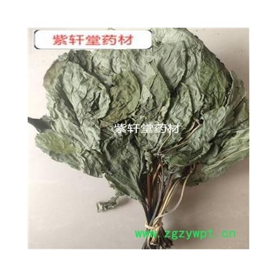 人参叶 人参叶 颜色好  自然晒干 产地 吉林省