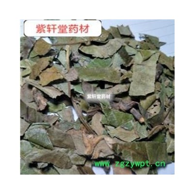 枇杷叶 巴叶 枇杷叶绿色统货 产地 福建省