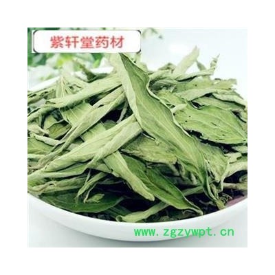 甜叶菊 茶用甜叶菊 药味浓郁 产地 安徽省