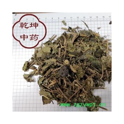 常春藤 统货 高含量 产地 云南省【诚信经营 品种齐全】