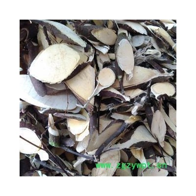 了哥王 了哥王统片 产地 广东省