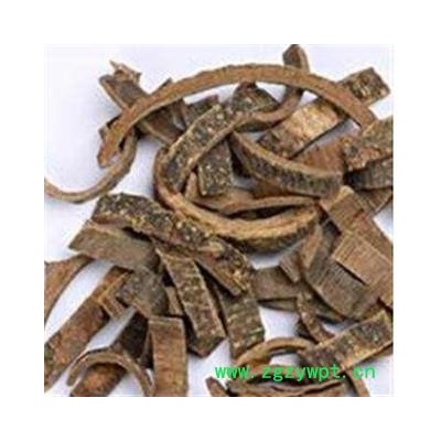 海桐皮 海桐皮 好统货 产地 四川省