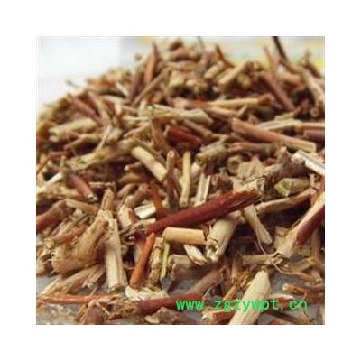 忍冬藤 忍冬藤选段 山东货 地道好货 产地 山东省