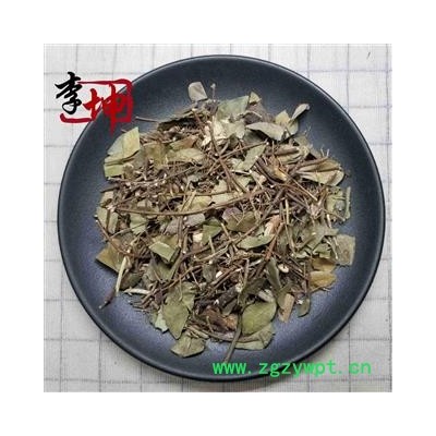 【99包邮】络石藤 统段 产地 湖北省 特价销售，售完为止！