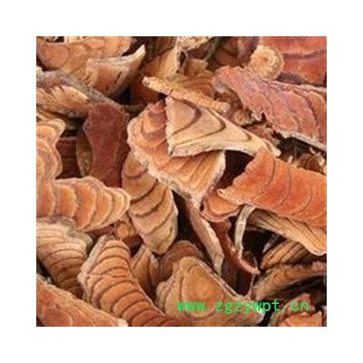 鸡血藤 鸡血藤选片3.0 产地 广西壮族自治区