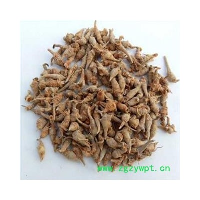 【振兴药材】中药材批发供应【三七芽】【重在品质】