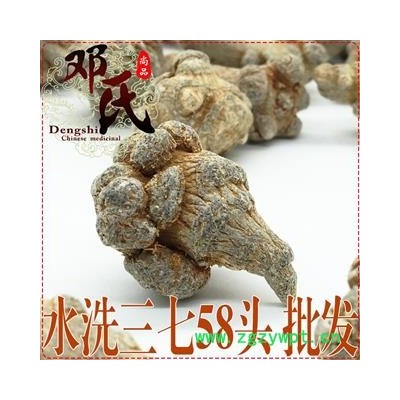 水洗三七58头选 产地 云南省文山壮族苗族自治州文山市