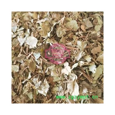 矮地茶 平地木 净货 产地 四川省