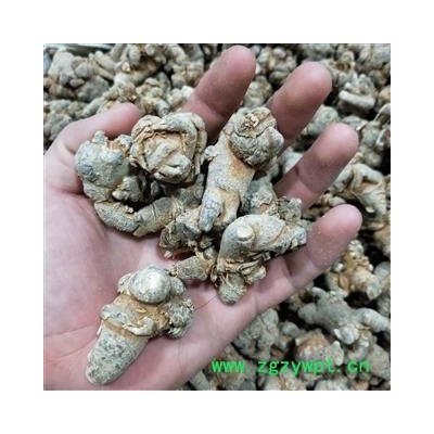 三七 三七40头 产地 云南省文山壮族苗族自治州