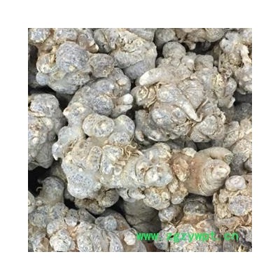 三七 水洗三七22头 产地直销 低价促销  产地 云南省